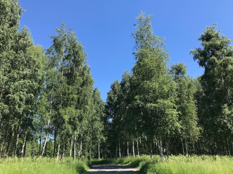 Stort Hus I Porsgrunn Sentrum Med Gangavstand Til "Alt" & Gratis Parkering Til Flere Biler Kültér fotó